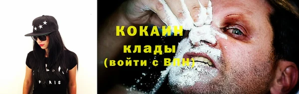 сатива Армянск