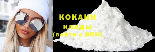 мяу мяу мука Аркадак
