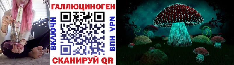 купить закладку  Макушино  Псилоцибиновые грибы мухоморы 