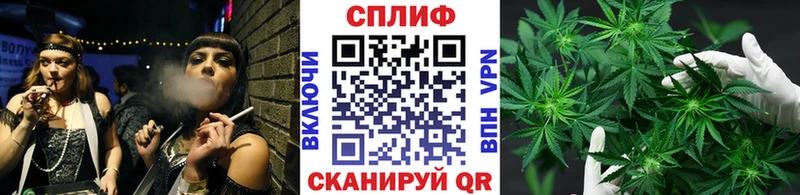 МАРИХУАНА гибрид  Макушино 